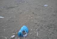 Arrivano i turisti, spiaggia abbandonata gomme di auto e sacchetti spazzatura