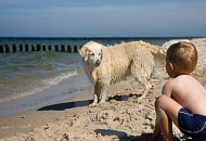 Ubicazione spiaggia libera con accesso anche ai cani